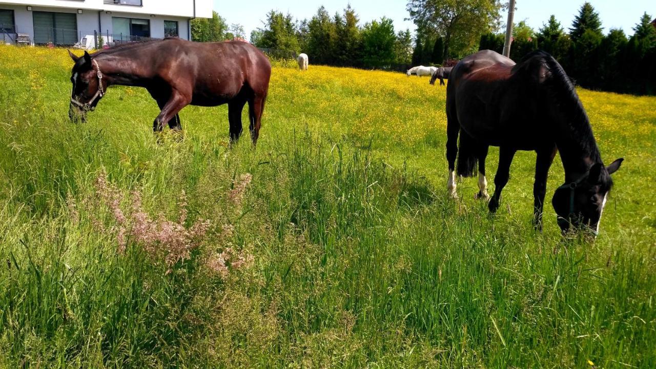 Kwatery Prywatne Lotnicza Bielsko-Biala Exterior foto