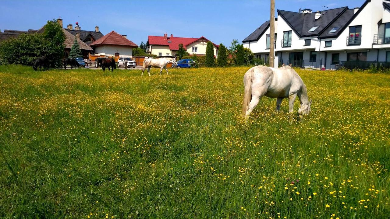 Kwatery Prywatne Lotnicza Bielsko-Biala Exterior foto